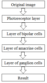 Flowchart layers of the retina to detect image contours